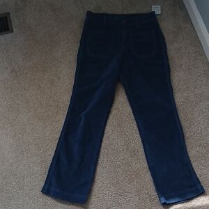 Size6 Free People Highrise Velvet Pants